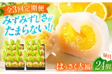 【全3回定期便】お菓子 はっさく大福12個入×2　 お菓子 大福 八朔 柑橘 みかん オレンジ 餅 ギフト お取り寄せ スイーツ フルーツ大福 ご当地 菓子 おかし デザート 食品 人気 おすすめ 広島県福山市/株式会社虎屋本舗[BADH018]