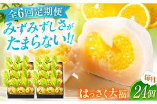 【全6回定期便】お菓子 はっさく大福12個入×2　 お菓子 大福 八朔 柑橘 みかん オレンジ 餅 ギフト お取り寄せ スイーツ フルーツ大福 ご当地 菓子 おかし デザート 食品 人気 おすすめ 広島県福山市/株式会社虎屋本舗[BADH019]