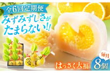 【全6回定期便】お菓子 はっさく大福8個入　 お菓子 大福 八朔 柑橘 みかん オレンジ 餅 ギフト お取り寄せ スイーツ フルーツ大福 ご当地 菓子 おかし デザート 食品 人気 おすすめ 広島県福山市/株式会社虎屋本舗[BADH023]