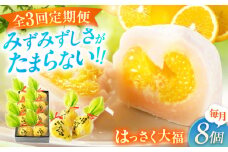 【全3回定期便】お菓子 はっさく大福8個入　 お菓子 大福 八朔 柑橘 みかん オレンジ 餅 ギフト お取り寄せ スイーツ フルーツ大福 ご当地 菓子 おかし デザート 食品 人気 おすすめ 広島県福山市/株式会社虎屋本舗[BADH022]