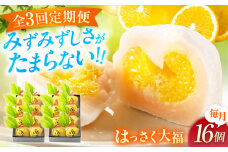 【全3回定期便】お菓子 はっさく大福8個入×2　 お菓子 大福 八朔 柑橘 みかん オレンジ 餅 ギフト お取り寄せ スイーツ フルーツ大福 ご当地 菓子 おかし デザート 食品 人気 おすすめ 広島県福山市/株式会社虎屋本舗[BADH026]