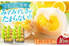 【全6回定期便】お菓子 はっさく大福8個入×2　 お菓子 大福 八朔 柑橘 みかん オレンジ 餅 ギフト お取り寄せ スイーツ フルーツ大福 ご当地 菓子 おかし デザート 食品 人気 おすすめ 広島県福山市/株式会社虎屋本舗[BADH027]