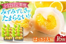 【全12回定期便】お菓子 はっさく大福8個入×2　 お菓子 大福 八朔 柑橘 みかん オレンジ 餅 ギフト お取り寄せ スイーツ フルーツ大福 ご当地 菓子 おかし デザート 食品 人気 おすすめ 広島県福山市/株式会社虎屋本舗[BADH028]