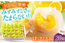 【全3回定期便】お菓子 はっさく大福20個入　 お菓子 大福 八朔 柑橘 みかん オレンジ 餅 ギフト お取り寄せ スイーツ フルーツ大福 ご当地 菓子 おかし デザート 食品 人気 おすすめ 広島県福山市/株式会社虎屋本舗[BADH030]