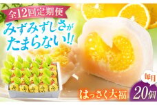 【全12回定期便】お菓子 はっさく大福20個入　 お菓子 大福 八朔 柑橘 みかん オレンジ 餅 ギフト お取り寄せ スイーツ フルーツ大福 ご当地 菓子 おかし デザート 食品 人気 おすすめ 広島県福山市/株式会社虎屋本舗[BADH032]