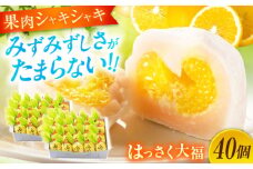 お菓子 はっさく大福20個入×2　 お菓子 大福 八朔 柑橘 みかん オレンジ 餅 ギフト お取り寄せ スイーツ フルーツ大福 ご当地 菓子 おかし デザート 食品 人気 おすすめ 広島県福山市/株式会社虎屋本舗[BADH033]