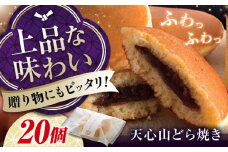 天心山 どら焼き （10個入り）×2 お菓子 和菓子 菓子 スイーツ どらやき おかし おやつ 広島県福山市/天心山ファーム [BABW007]