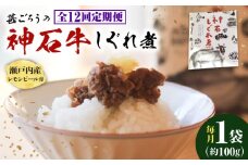 【全12回定期便】神石しぐれ煮 100g×1袋　牛 神石しぐれ煮  牛 ブランド牛 A4 加工品 牛しぐれ 広島県福山市/甚ごろう [BAEC030]
