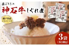 【ふるさと納税】神石しぐれ煮 100g×3袋 牛 神石しぐれ煮  牛 ブランド牛 A4 加工品 牛しぐれ 広島県福山市/甚ごろう [BAEC035]