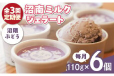 【全3回定期便】沼南ミルクジェラート 沼隈ぶどう ６個　アイス  ぶどう  アイス アイスクリーム デザート スイーツ ご当地 広島県福山市/甚ごろう [BAEC042]