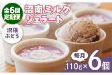 【全6回定期便】沼南ミルクジェラート 沼隈ぶどう ６個　アイス  ぶどう  アイス アイスクリーム デザート スイーツ ご当地 広島県福山市/甚ごろう [BAEC043]