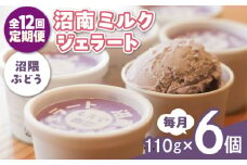 【全12回定期便】沼南ミルクジェラート 沼隈ぶどう ６個　アイス  ぶどう  アイス アイスクリーム デザート スイーツ ご当地 広島県福山市/甚ごろう [BAEC044]