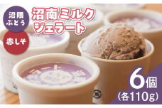 【ふるさと納税】沼南ミルクジェラート 沼隈ぶどう＆赤しそ　各3個　食べ比べセット　アイス  ぶどう 赤しそ アイス アイスクリーム デザート スイーツ ご当地 広島県福山市/甚ごろう [BAEC045]