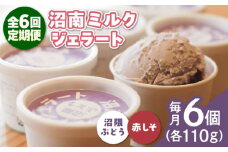 【全6回定期便】沼南ミルクジェラート 沼隈ぶどう＆赤しそ　各3個　食べ比べセット　アイス  ぶどう 赤しそ アイス アイスクリーム デザート スイーツ ご当地 広島県福山市/甚ごろう [BAEC047]