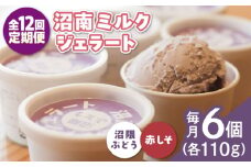 【全12回定期便】沼南ミルクジェラート 沼隈ぶどう＆赤しそ　各3個　食べ比べセット　アイス  ぶどう 赤しそ アイス アイスクリーム デザート スイーツ ご当地 広島県福山市/甚ごろう [BAEC048]