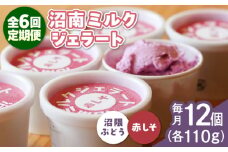 【全6回定期便】沼南ミルクジェラート 沼隈ぶどう＆赤しそ　各6個　食べ比べセット　アイス  ぶどう 赤しそ アイス アイスクリーム デザート スイーツ ご当地 広島県福山市/甚ごろう [BAEC051]