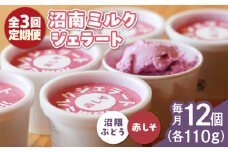 【全3回定期便】沼南ミルクジェラート 沼隈ぶどう＆赤しそ　各6個　食べ比べセット　アイス  ぶどう 赤しそ アイス アイスクリーム デザート スイーツ ご当地 広島県福山市/甚ごろう [BAEC050]