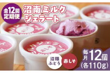 【全12回定期便】沼南ミルクジェラート 沼隈ぶどう＆赤しそ　各6個　食べ比べセット　アイス  ぶどう 赤しそ アイス アイスクリーム デザート スイーツ ご当地 広島県福山市/甚ごろう [BAEC052]