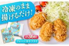 冷凍 カキフライ  (プレーン 計36粒)  広島県産 冷凍カキフライ 広島牡蠣 牡蠣 かき カキ  料理 簡単 魚介類 海鮮 ギフト 広島県福山市/クニヒロ株式会社 [BACG008]