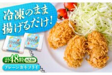 冷凍 カキフライ  (プレーン 計48粒)  広島県産 冷凍カキフライ 広島牡蠣 牡蠣 かき カキ  料理 簡単 魚介類 海鮮 ギフト 広島県福山市/クニヒロ株式会社 [BACG009]