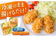 冷凍 カキフライ  (カレー 計36粒)  広島県産 冷凍カキフライ 広島牡蠣 牡蠣 かき カキ  料理 簡単 魚介類 海鮮 ギフト 広島県福山市/クニヒロ株式会社 [BACG010]