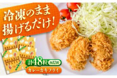 冷凍 カキフライ  (カレー 計48粒)  広島県産 冷凍カキフライ 広島牡蠣 牡蠣 かき カキ  料理 簡単 魚介類 海鮮 ギフト 広島県福山市/クニヒロ株式会社 [BACG011]