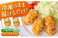 冷凍 カキフライ  (カレー 計48粒)  広島県産 冷凍カキフライ 広島牡蠣 牡蠣 かき カキ  料理 簡単 魚介類 海鮮 ギフト 広島県福山市/クニヒロ株式会社 [BACG011]