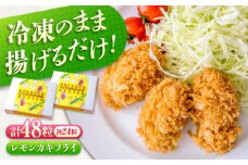 冷凍 カキフライ  (瀬戸内レモン 計48粒)  広島県産 冷凍カキフライ 広島牡蠣 牡蠣 かき カキ  料理 簡単 魚介類 海鮮 ギフト 広島県福山市/クニヒロ株式会社 [BACG013]