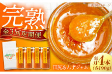 【全3回定期便】 ジャム 田尻完熟あんずジャム (4本) ジャム 果物 あんず パン 甘い 菓子 朝ごはん 広島県福山市/有限会社勉強堂 [BAFL008]