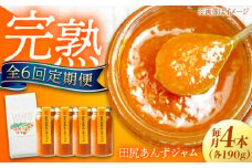【全6回定期便】 ジャム 田尻完熟あんずジャム (4本)　 ジャム 果物 あんず パン 甘い 菓子 朝ごはん 広島県福山市/有限会社勉強堂 [BAFL009]