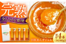 【全12回定期便】 ジャム 田尻完熟あんずジャム (4本)　ジャム 果物 あんず パン 甘い 菓子 朝ごはん 広島県福山市/有限会社勉強堂 [BAFL010]