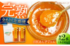 【全6回定期便】 ジャム 田尻完熟あんずジャム (2本)　ジャム 果物 あんず パン 甘い 菓子 朝ごはん 広島県福山市/有限会社勉強堂 [BAFL013]