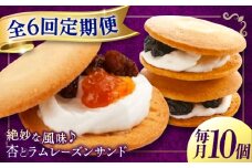 【全6回定期便】 お菓子 杏とラムレーズンサンド 10個入り　お菓子 あんず おやつ 菓子 お茶 レーズン スイーツ 広島県福山市/有限会社勉強堂 [BAFL016]