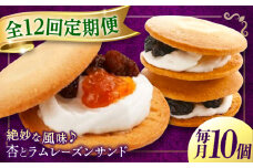 【全12回定期便】お菓子  杏とラムレーズンサンド 10個入り　お菓子 あんず おやつ 菓子 お茶 レーズン スイーツ 広島県福山市/有限会社勉強堂 [BAFL017]
