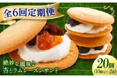 【全6回定期便】お菓子  杏とラムレーズンサンド 10個入り×2　お菓子 あんず おやつ 菓子 お茶 レーズン スイーツ 広島県福山市/有限会社勉強堂 [BAFL020]