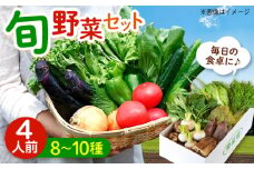 愛菜連のおまかせ野菜パック（４人用）野菜詰合せ 旬 旬の野菜 野菜セット 産地直送 ミネラル ビタミン 豊富　広島県福山市/マルフク株式会社 [BAFW001]