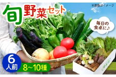 愛菜連のおまかせ野菜パック（６人用）野菜詰合せ 旬 旬の野菜 野菜セット 産地直送 ミネラル ビタミン 豊富　広島県福山市/マルフク株式会社 [BAFW002]