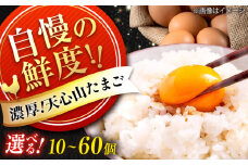 天心山 たまご　【選べる個数】 広島県福山市/天心山ファーム　卵 たまご 高級 食品 たまごかけご飯 卵かけご飯 卵焼き 生卵 濃厚 ケーキ お菓子 づくり ランキング 上位 人気 おすすめ　[BABW014]