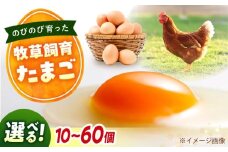 天心山 たまご　【選べる個数】 広島県福山市/天心山ファーム　卵 たまご 高級 食品 たまごかけご飯 卵かけご飯 卵焼き 生卵 濃厚 ケーキ お菓子 づくり ランキング 上位 人気 おすすめ　[BABW013]