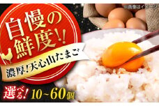 天心山 たまご　【選べる個数】 広島県福山市/天心山ファーム　卵 たまご 高級 食品 たまごかけご飯 卵かけご飯 卵焼き 生卵 濃厚 ケーキ お菓子 づくり ランキング 上位 人気 おすすめ　[BABW015]
