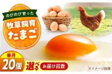天心山　たまご20個　【回数が選べる定期便】卵 たまご 高級 食品 たまごかけご飯 卵かけご飯 卵焼き 生卵 濃厚 ケーキ お菓子 づくり ランキング 上位 人気 おすすめ 定期便　広島県福山市/天心山ファーム [BABW018]