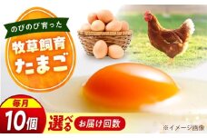 天心山　たまご10個　【回数が選べる定期便】卵 たまご 高級 食品 たまごかけご飯 卵かけご飯 卵焼き 生卵 濃厚 ケーキ お菓子 づくり ランキング 上位 人気 おすすめ 定期便　広島県福山市/天心山ファーム [BABW023]