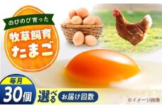 天心山　たまご30個　【回数が選べる定期便】卵 たまご 高級 食品 たまごかけご飯 卵かけご飯 卵焼き 生卵 濃厚 ケーキ お菓子 づくり ランキング 上位 人気 おすすめ 定期便　広島県福山市/天心山ファーム [BABW027]