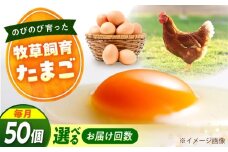 天心山　たまご50個　【回数が選べる定期便】卵 たまご 高級 食品 たまごかけご飯 卵かけご飯 卵焼き 生卵 濃厚 ケーキ お菓子 づくり ランキング 上位 人気 おすすめ 定期便　広島県福山市/天心山ファーム [BABW036]