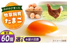 天心山　たまご60個　【回数が選べる定期便】卵 たまご 高級 食品 たまごかけご飯 卵かけご飯 卵焼き 生卵 濃厚 ケーキ お菓子 づくり ランキング 上位 人気 おすすめ 定期便　広島県福山市/天心山ファーム [BABW040]