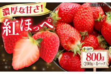 苺 紅ほっぺ 200g×4パック 国産 完熟 スムージー ジャム ヨーグルト 一口サイズ イチゴ 完熟 苺 果物 フルーツ 冷凍 広島県福山市/株式会社ベジータ [BABR002]