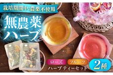 五感で感じるハーブティセット ハーブ ハーブティー ビタミン ハイビスカス ローズ オレンジ マロウ バーベナ レモングラス カモミール 和薄荷 　広島県福山市/株式会社Herbal Style [BAFV003]
