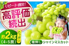 【限定2500セット】沼隈ぶどう シャインマスカット 約2kg(4〜5房) 9月上旬〜9月下旬頃発送 福山市/福山市農業協同組合 2025年先行予約 数量限定 期間限定 ぶどう ブドウ 葡萄 種なし たねなし 大粒 マスカット シャインマスカット しゃいんますかっと 果物 フルーツ[BAEV004]