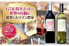 山野峡ワイン　赤白セット　キャンベル・ナイアガラ 広島県福山市/株式会社福山健康舎(山野峡大田ワイナリー) 山野峡ワイン 福山 広島 ワイン 福山市 ぶどう ワイナリー [BADO008]