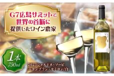 山野峡ワイン2023シャルドネ・ソービニヨンブラン・セミヨン 広島県福山市/株式会社福山健康舎(山野峡大田ワイナリー) 山野峡ワイン 福山 広島 ワイン 福山市 ぶどう ワイナリー [BADO010]